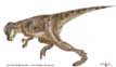 пах≥цефалозавр