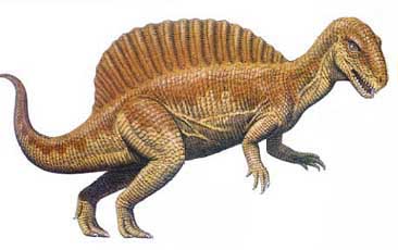 сп≥нозавр